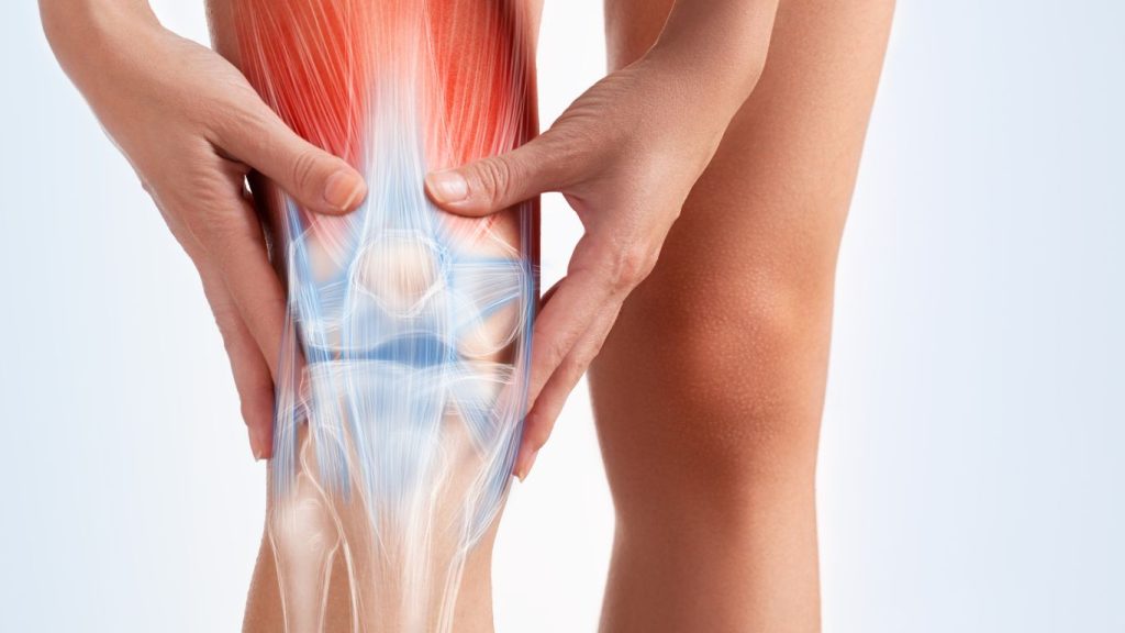 arthroscopy image
